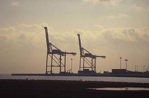 cadソフトのダウンロード販売を利用しよう